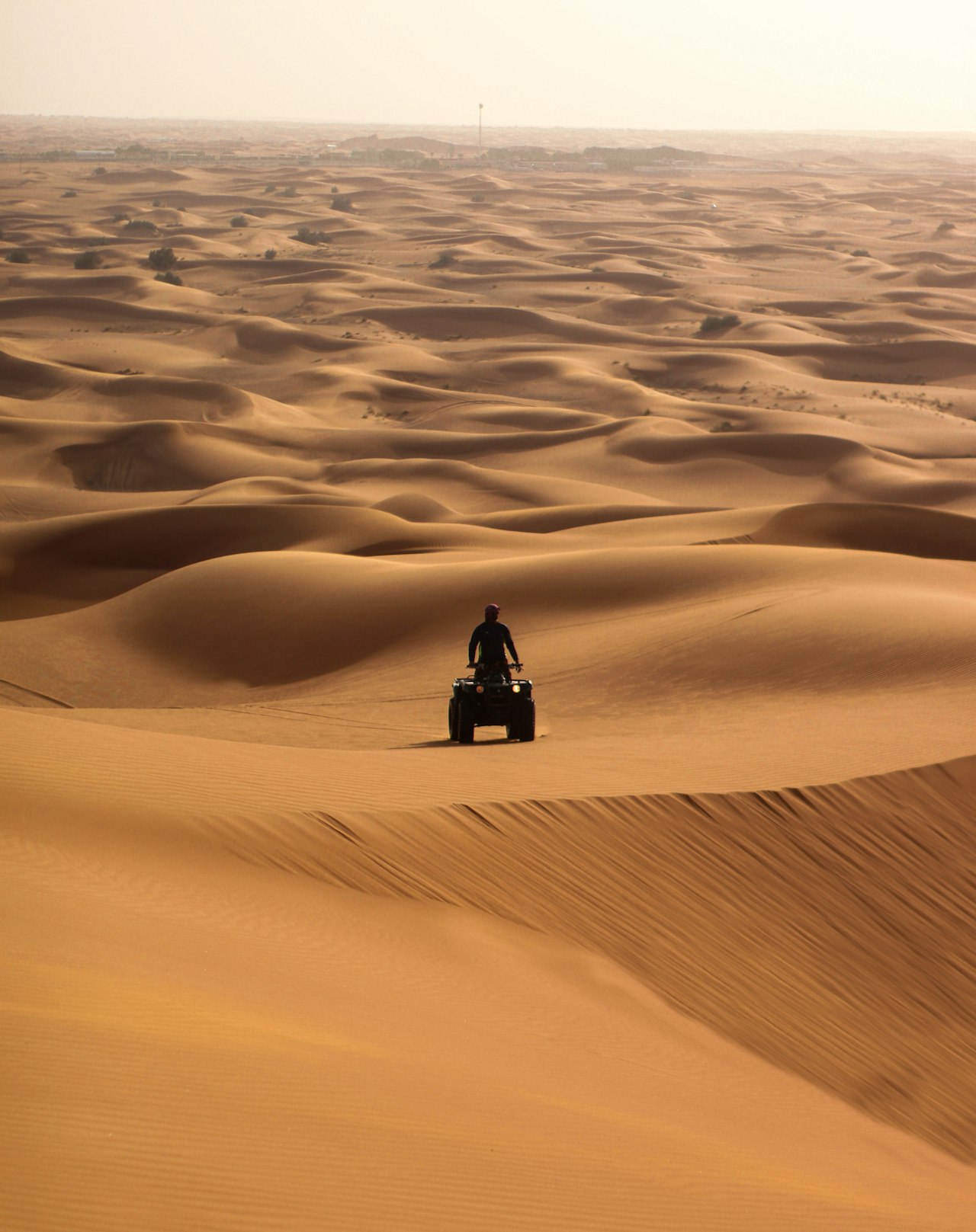 Dubai Desert Conservation Reserve со спутника